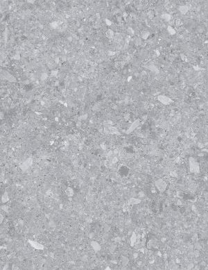 Ceppo Grey 24 x 48 matte porcelain tile
